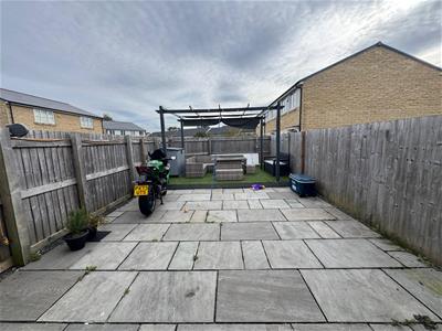 Picture 11